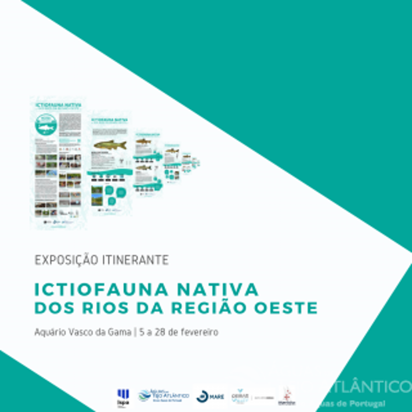 Exposição sobre os peixes nativos em Oeiras