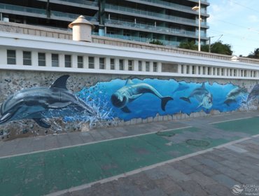 Golfinhos “mergulham” nas infraestruturas da Tejo Atlântico 