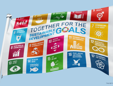 SDG Flag (3).png
