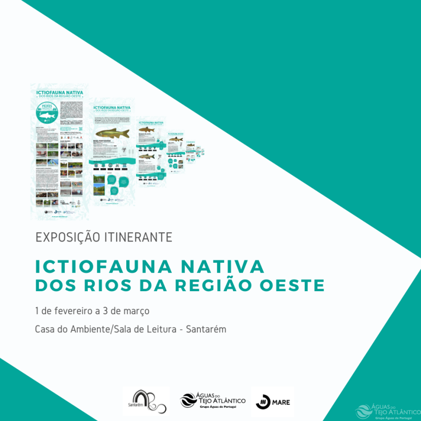 Exposição Itinerante "Ictiofauna Nativa dos Rios da Região Oeste" pode ser visitada no Bombarral e em Santarém nos próximos meses