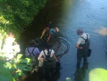 Exposição 'Ictiofauna nativa da região Oeste" em Sintra 
