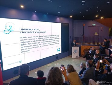 Praias da Tejo Atlântico galardoadas com 49 Bandeiras Azuis