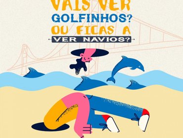 Vem Connosco Ver Golfinhos no Dia Mundial do Saneamento