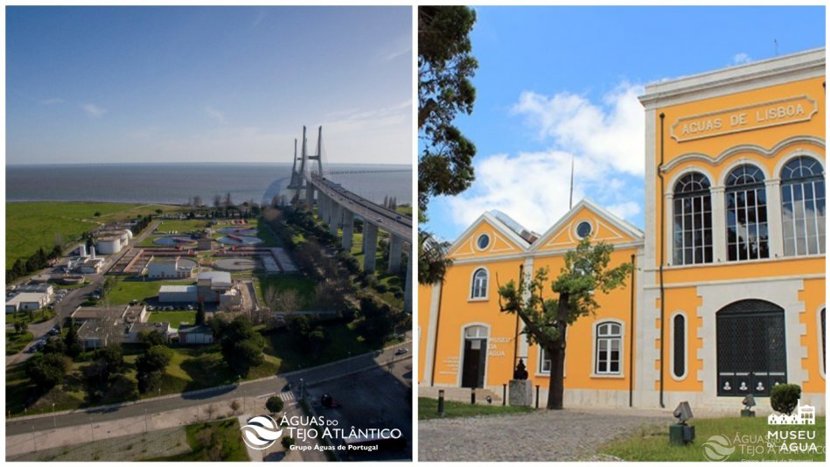 Tejo Atlântico promove curso de “Educação Ambiental para a Sustentabilidade” dirigido a professores