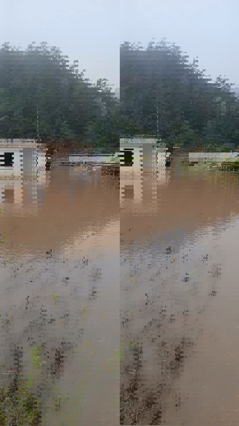 Resiliencia (6).jpeg