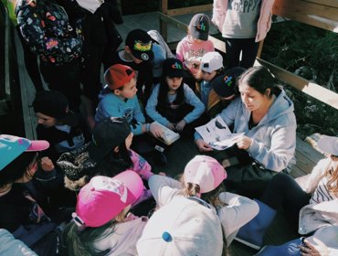 Contributo na conservação do rio Jamor 