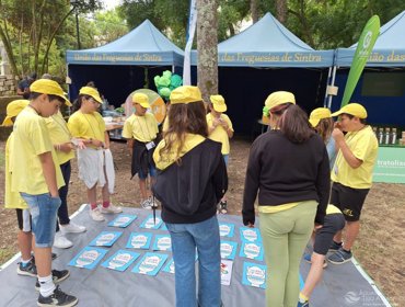 Dia Mundial do Ambiente: Ações de Educação Ambiental e Sensibilização 