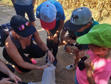 Tejo Atlântico volta a participar em mais uma edição do “Ciência Viva no Verão" 