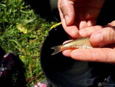 Projeto pioneiro de monitorização de rios tem início no Oeste