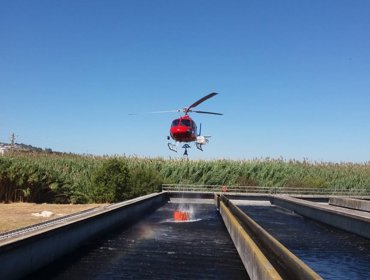 Água da ETAR de Frielas reutilizada para apagar fogos