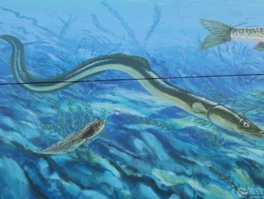 Arte urbana dá visibilidade a um serviço “invisível” 