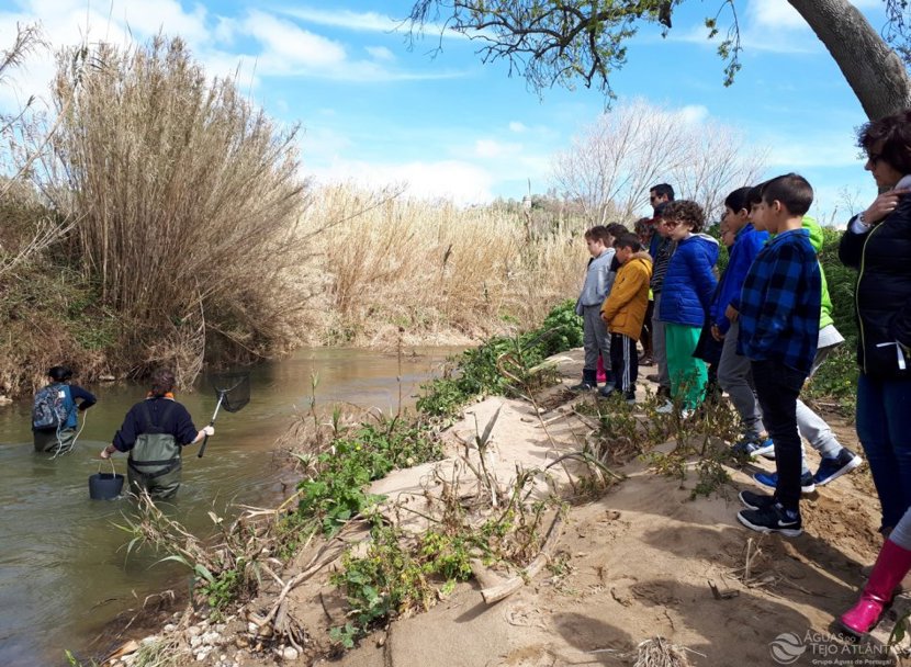 Comemorado a 22 de março, o Dia Mundial da Água é um momento privilegiado para celebrar este recurso tão essencial à vida e que cumpre a todos preservar.