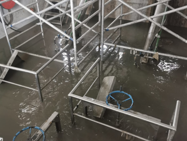 Tejo Atlântico: a eficiência na emergência 