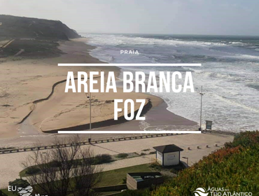 Mais três praias “da Tejo Atlântico” com Bandeira Azul 