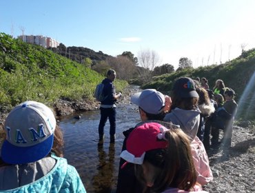 Contributo na conservação do rio Jamor 