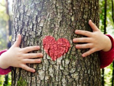 Agenda de atividades ambientais