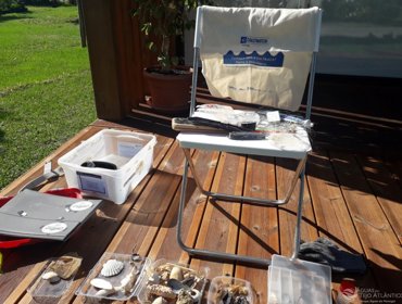 "À descoberta da ecologia do Estuário do Rio Tejo " ação com parceria Tejo Atlântico