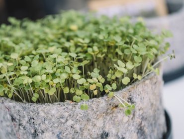 Reduzimos 2 Toneladas de CO2 e poupámos 3,5 Milhões de litros de água... tudo porque reciclámos o nosso fardamento! 
