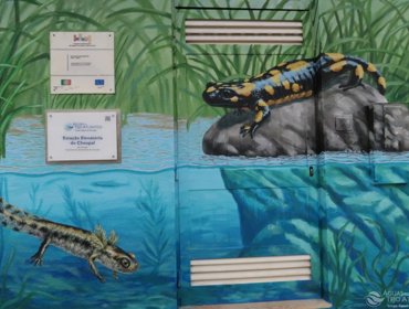 Estação Elevatória de Choupal com “ART”