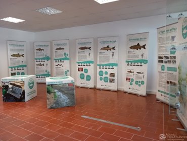 Exposição 'Ictiofauna nativa da região Oeste" em Sintra 