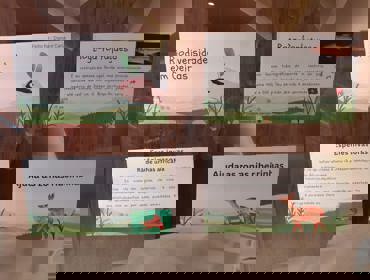 Exposiçao Oeiras Parque .jpeg