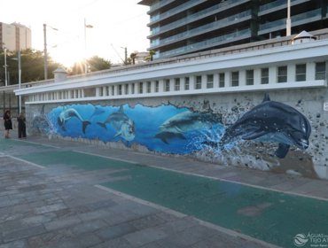 Golfinhos “mergulham” nas infraestruturas da Tejo Atlântico