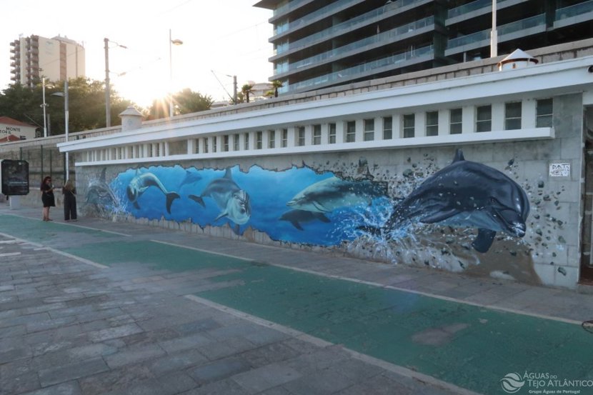 Golfinhos “mergulham” nas infraestruturas da Tejo Atlântico