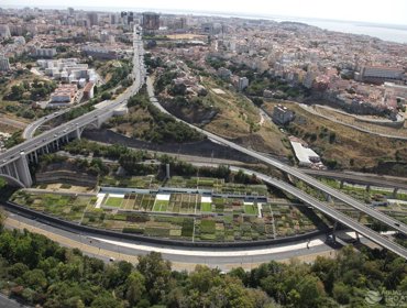 Telhado Verde de Alcântara no Festival Jardins Abertos – dia 25 de maio 