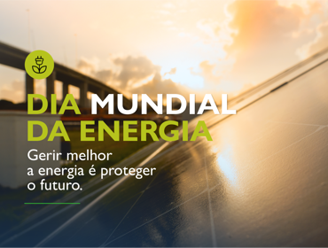 Dia Mundial da Energia