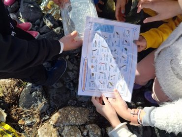Dia Mundial das Zonas Húmidas assinalado pela Tejo Atlântico