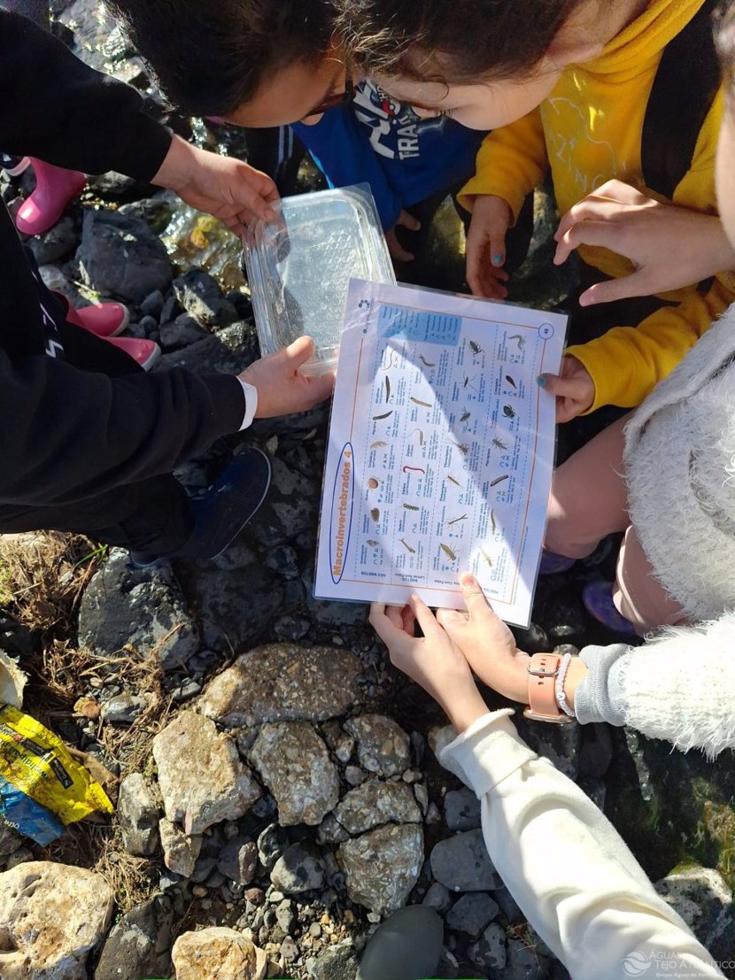 Dia Mundial das Zonas Húmidas assinalado pela Tejo Atlântico