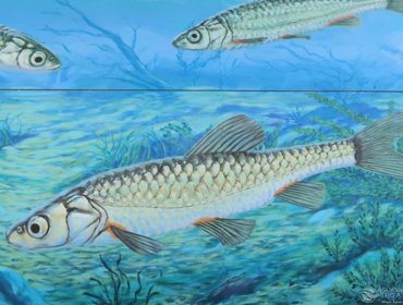 Arte urbana dá visibilidade a um serviço “invisível” 