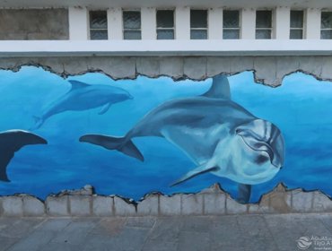 Golfinhos “mergulham” nas infraestruturas da Tejo Atlântico 