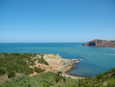 Praias da Tejo Atlântico galardoadas com 49 Bandeiras Azuis 