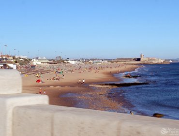 Praias da Tejo Atlântico galardoadas com 49 Bandeiras Azuis 