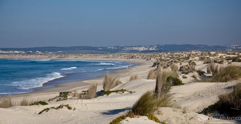 Tejo Atlântico tem contribuído para praias “zero poluição”