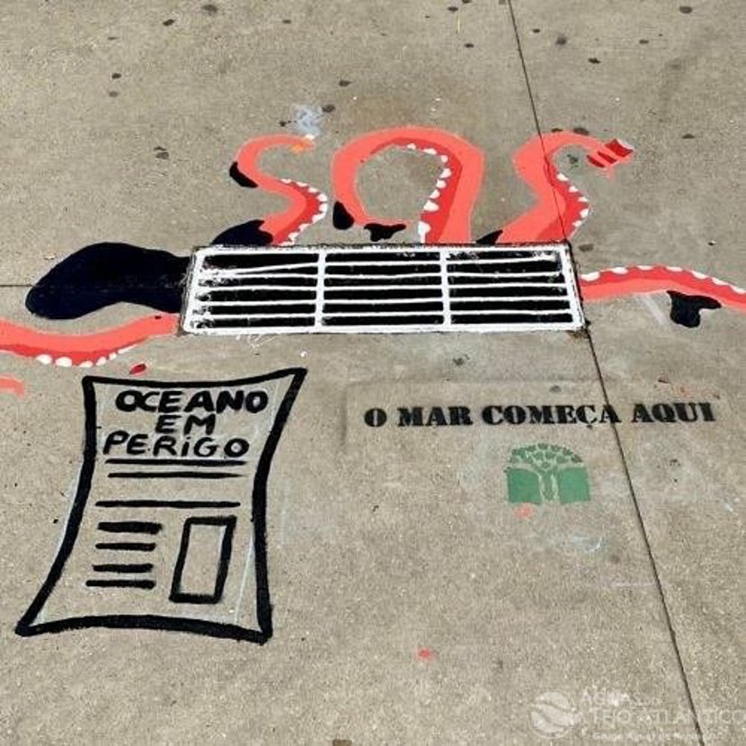 Sete escolas na área da Tejo Atlântico premiadas a nível nacional e regional