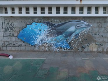 Golfinhos “mergulham” nas infraestruturas da Tejo Atlântico 