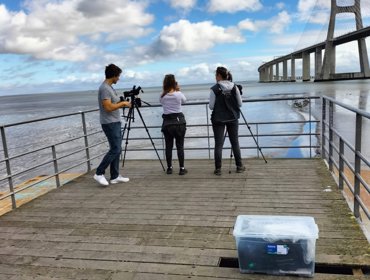 De olhos nas Aves em Beirolas, dia 1 de novembro 