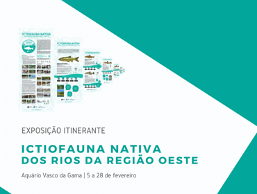 Ações de educação ambiental em abril