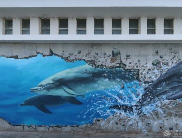 Golfinhos “mergulham” nas infraestruturas da Tejo Atlântico 