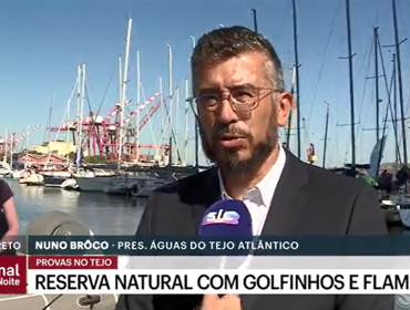 Se os Jogos Olímpicos fossem em Portugal o tejo poderia ser um dos Palcos? SIC responde!