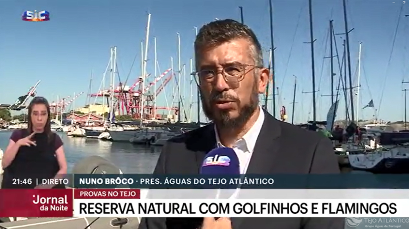 Se os Jogos Olímpicos fossem em Portugal o tejo poderia ser um dos Palcos? SIC responde!