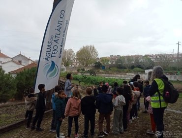 Dia Mundial da Água: Milhares de Crianças e Jovens Participam em Atividades de Educação Ambiental 