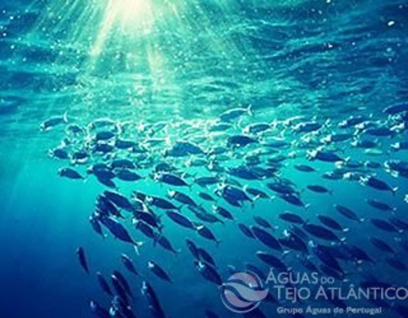 Estratégia do Atlântico da União Europeia reúne-se na Fábrica de Água de Alcântara