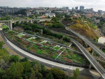 Tejo Atlântico participa nas ações do Ciência Viva no Verão em Rede 