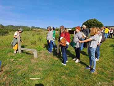 Tejo Atlântico investe na formação contínua de professores 