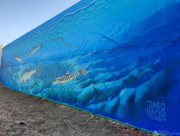 Arte urbana dá visibilidade a um serviço “invisível” 