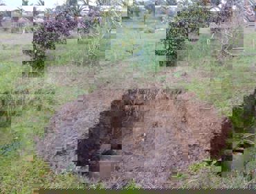 Resiliencia no Natal .jpg