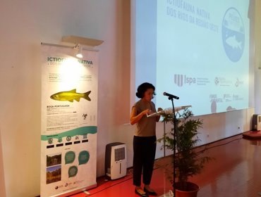 Exposição “Ictiofauna nativa das ribeiras do Oeste” até dia 24 de outubro, em Sintra